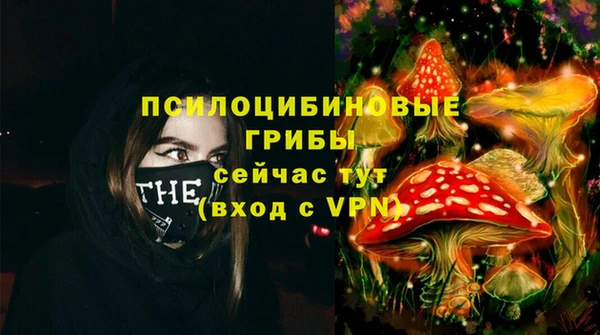 винт Алексин